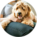 Betti Hänggi profile picture